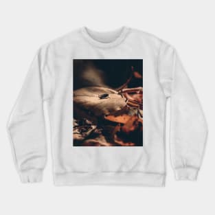 Autumn Leaves Fly Crewneck Sweatshirt